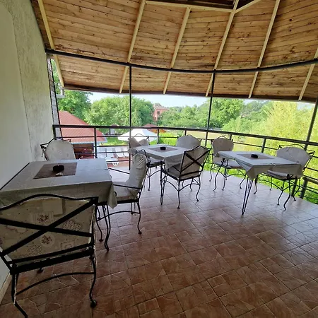 Stars * Palić